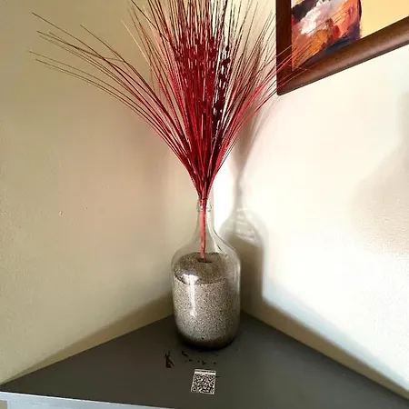 Pensjonat Abrigo Do Portinho 3*