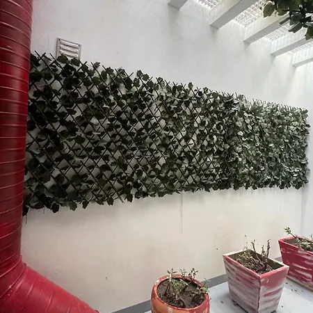 Abrigo Do Portinho Pensjonat 3*