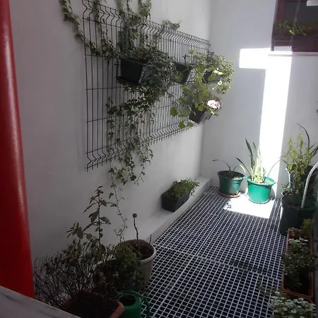 Pensjonat Abrigo Do Portinho Vila Praia de Âncora