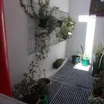 Πανσιόν Abrigo Do Portinho Vila Praia de Âncora