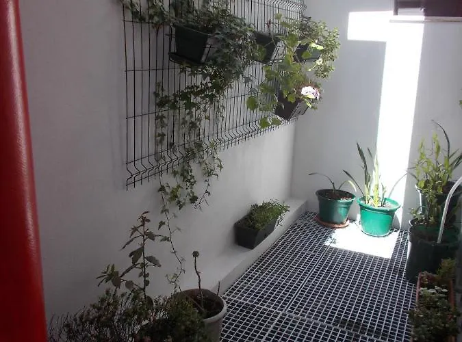 Maison d'hôtes Abrigo Do Portinho Vila Praia de Âncora